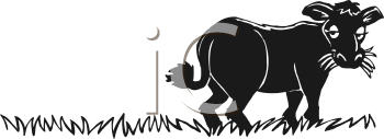 Cartoon Clipart